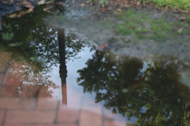 Funskool GI Joe Ripper