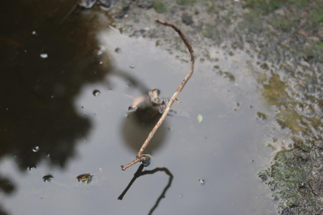 Funskool GI Joe Ripper