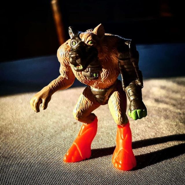 1991 Trash Bag Bunch Junker