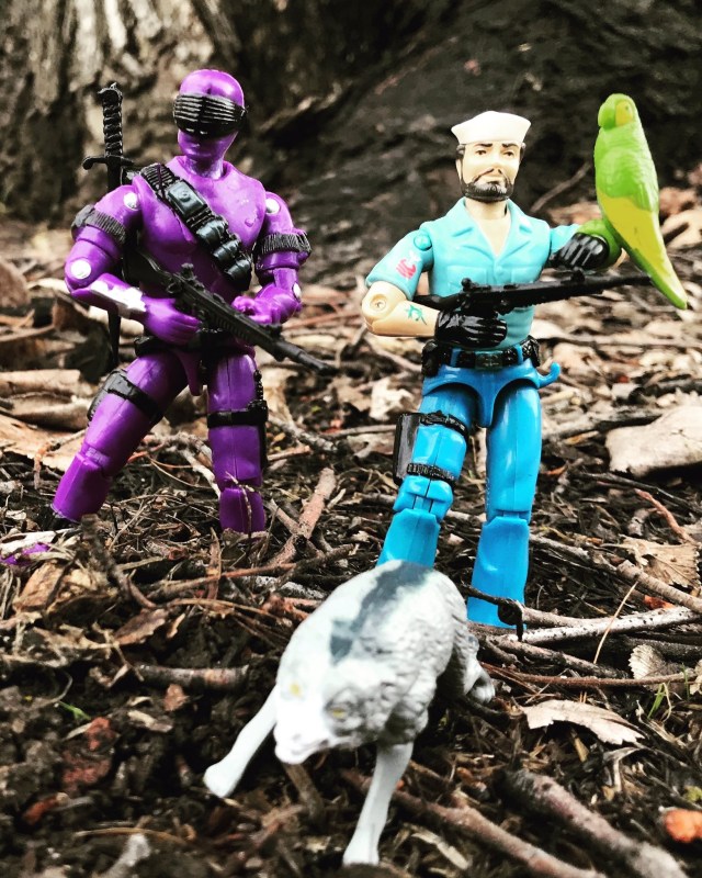 Black Major Purple Haze Snake Eyes