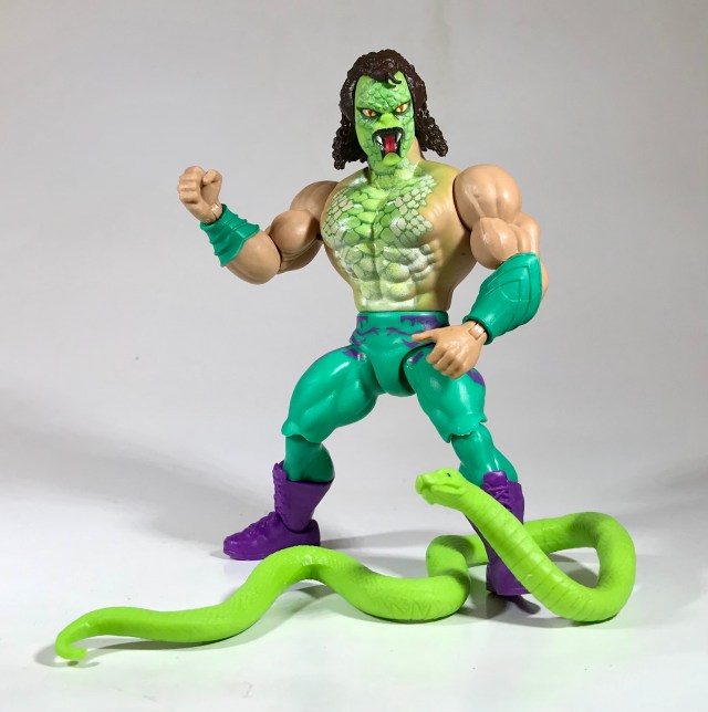 Masters of the WWE Universe Jake the Snake Roberts